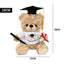 28cm Graduation Message Golden Brown Plush Bear Toy