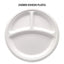 White Paper Plates & Bowls