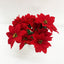 2pk Artificial Poinsettia Flowers Bunch