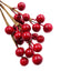 20pcs Christmas Red Holly Berry Pick 115mm