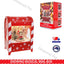 Snowing Musical Mailbox Christmas Decoration Light Up Santa Snowman Gingerbread