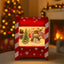Snowing Musical Mailbox Christmas Decoration Light Up Santa Snowman Gingerbread