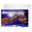 Traditional Santa Christmas Cards & Envelopes – Pack of 20